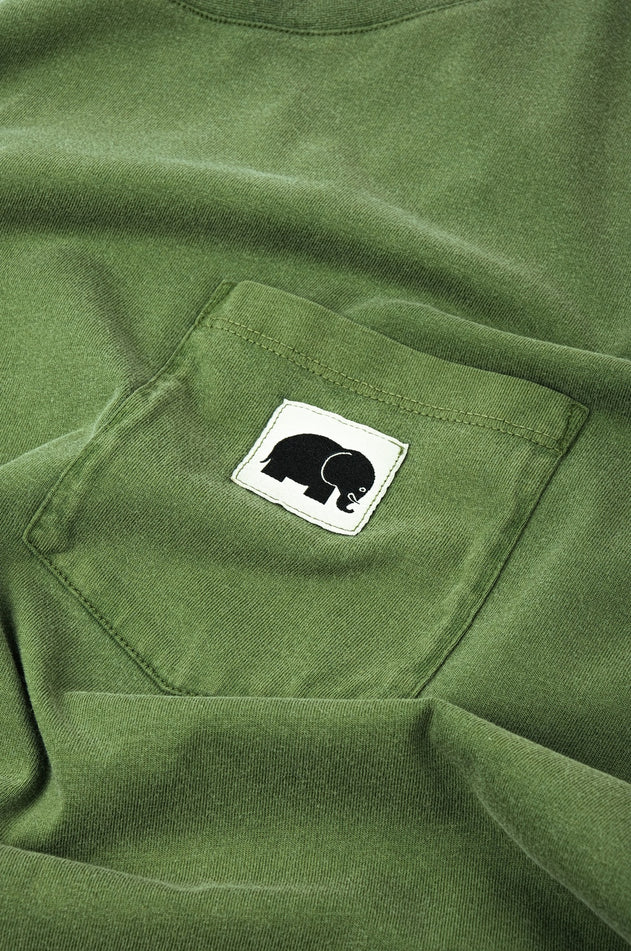Men's Phoenix Pigment T-Shirt Pinnas Green