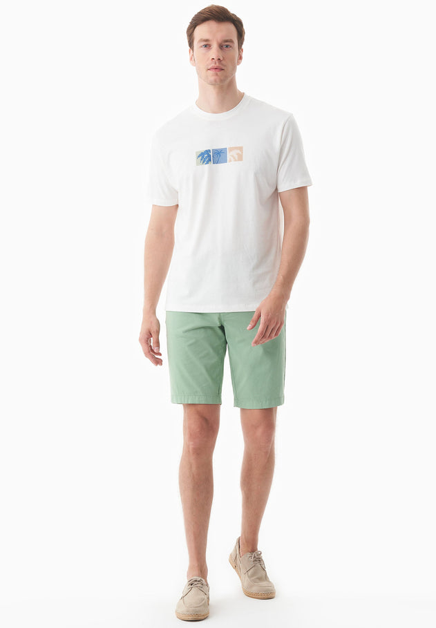 Men's Regular Fit Organic Cotton Shorts Matcha Green