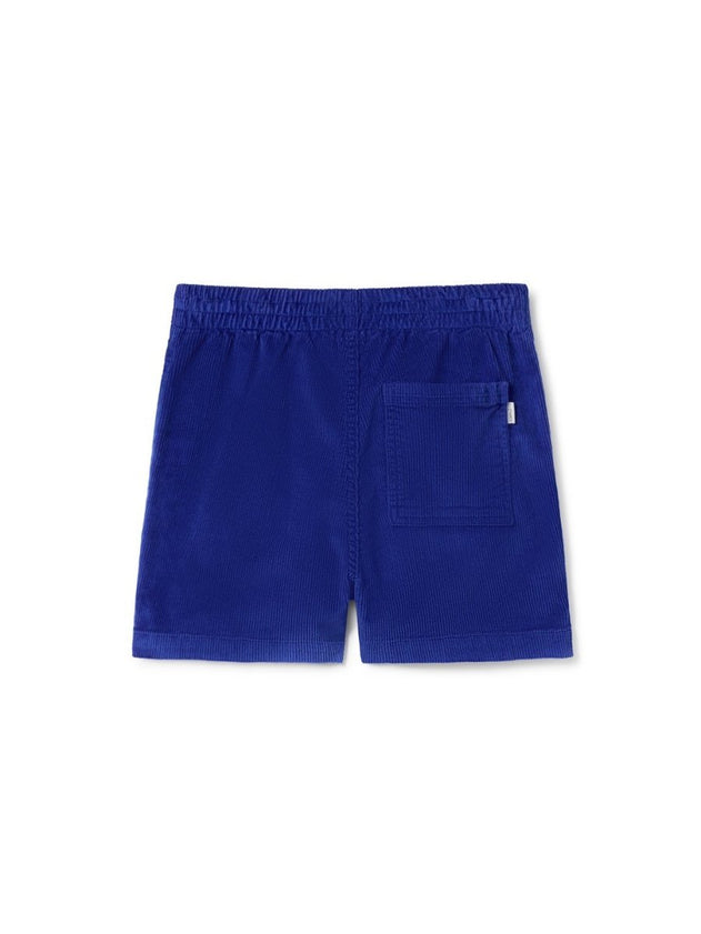 Cockatoo Shorts Ultramarine - IVALO.COM
