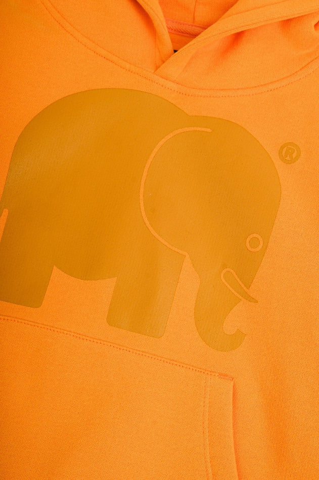 Kid's Organic Classic Hoodie Honey