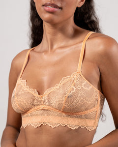 Lace Balconette Peach