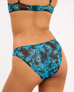 Mesh Bikini Briefs Deep Teal Orchid