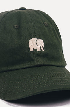 Logo Dad Cap Kombu Green
