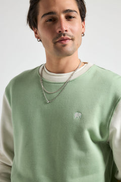 295109703.jpg