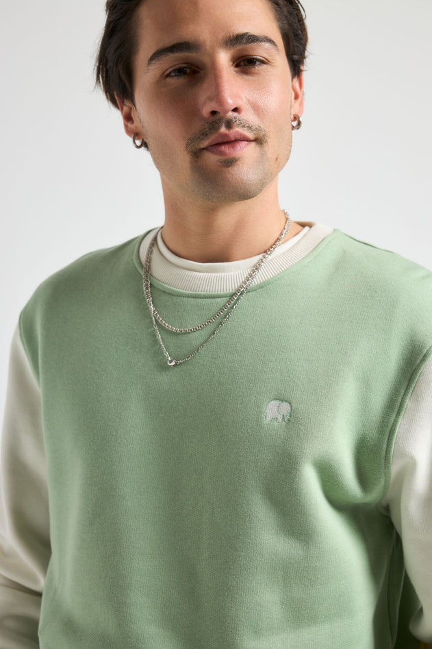 295109703.jpg