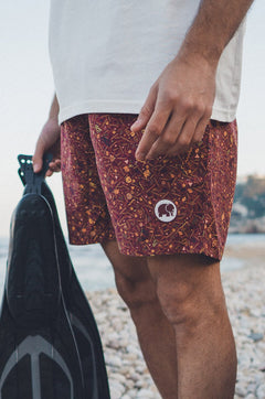 Men's Dogtown Swim Shorts Red
