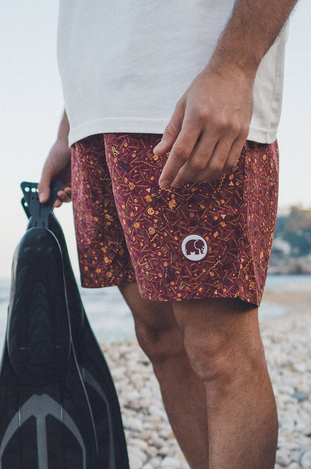 Men's Dogtown Swim Shorts Red