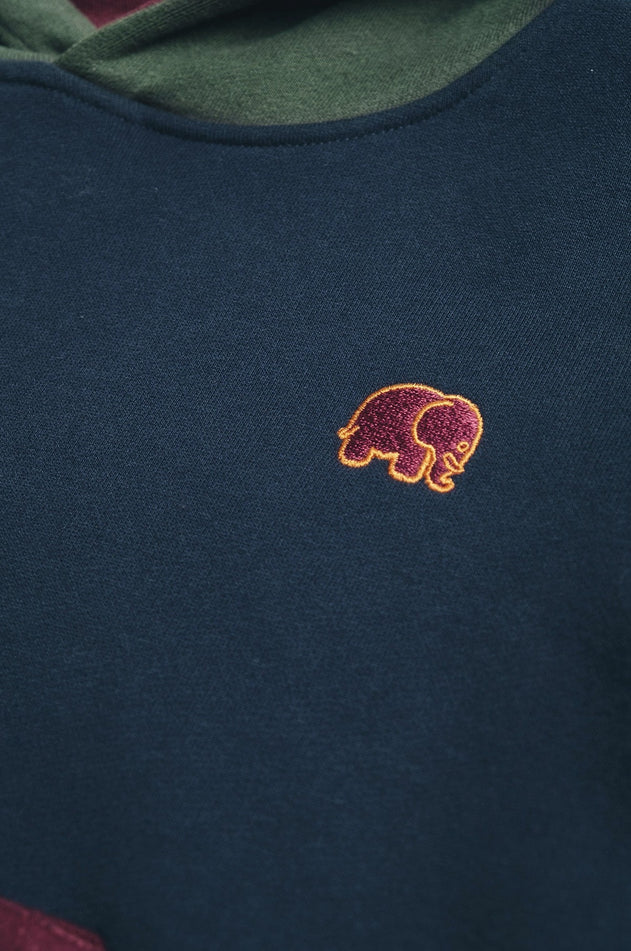 Kids' Color Block Hoodie Trendsplant Blue