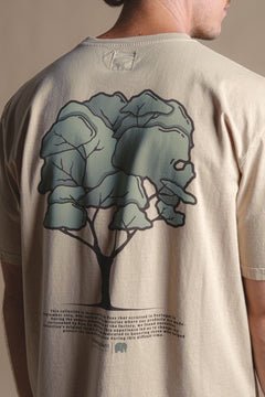 Pontido Pigment T-Shirt Eucalyptus