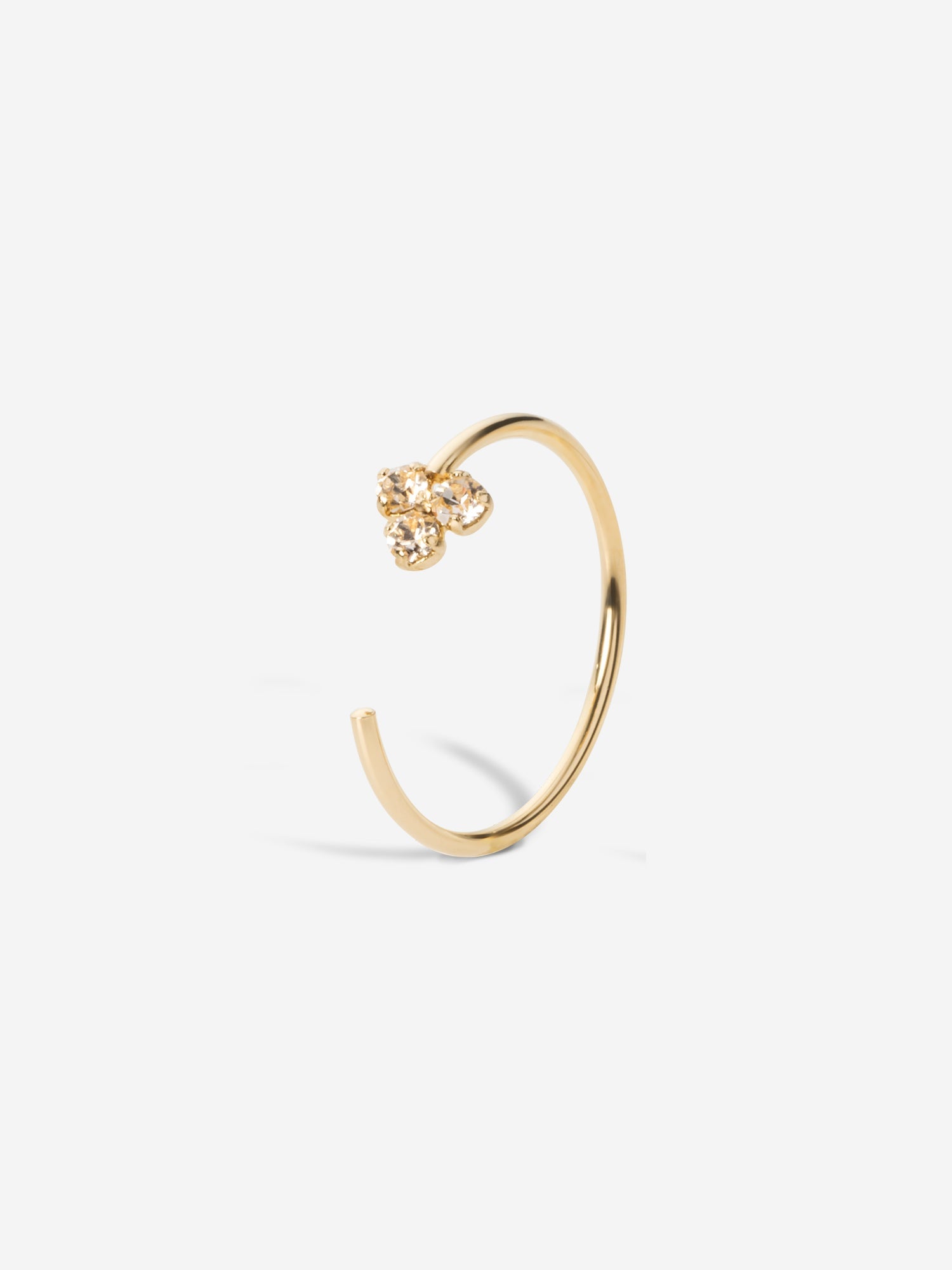 Francois_champagne_AprilPlease-eshop.jpg?v=1741870425