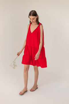 Woman wearing a red dress holding a small plant against a plain background