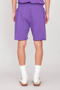 MBK100VIOLA4_327e27d5-2ce6-4bb3-8080-d19678af1a48.jpg?v=1761733704