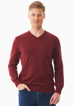 Men's V-Neck Organic Cotton Sweater Syrah Red