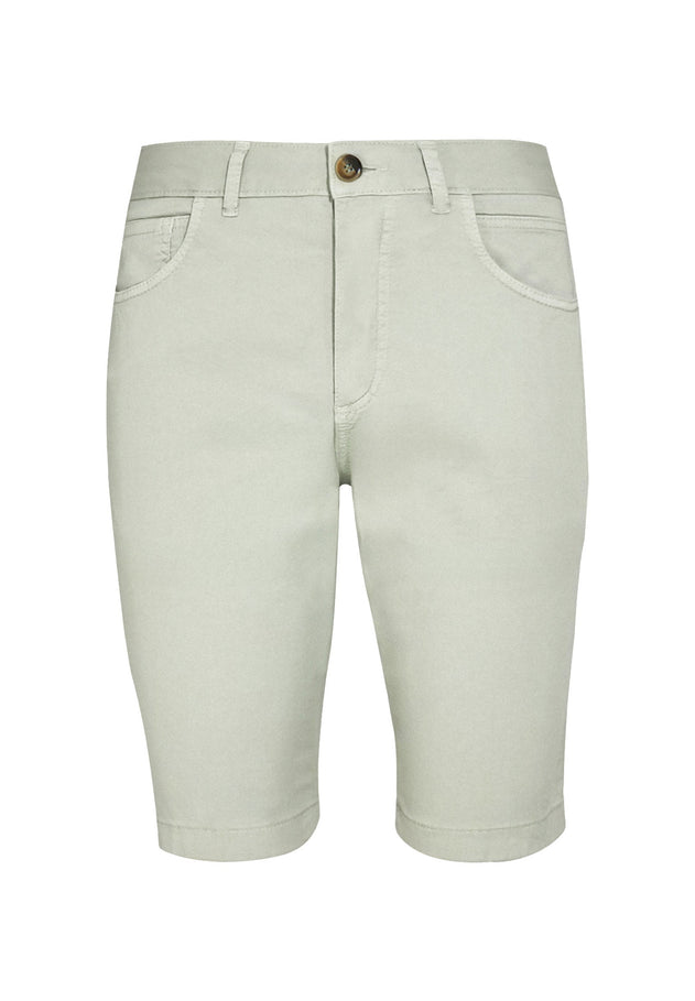 Men's Regular Fit Organic Cotton Shorts Green Moss