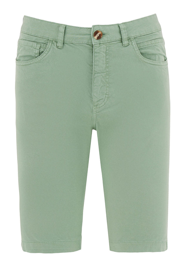 Miesten Regular Fit Shortsit Matcha Green
