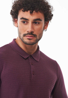 Men's Textured Knit Polo Collar Sweater Dark Fig