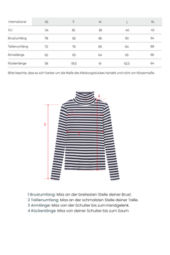 Striped Longsleeve Turtleneck Navy/White