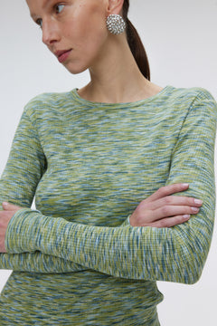 Blizzard Long Sleeve Top Green