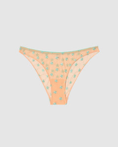 Mesh Bikini Briefs Peach Turquoise