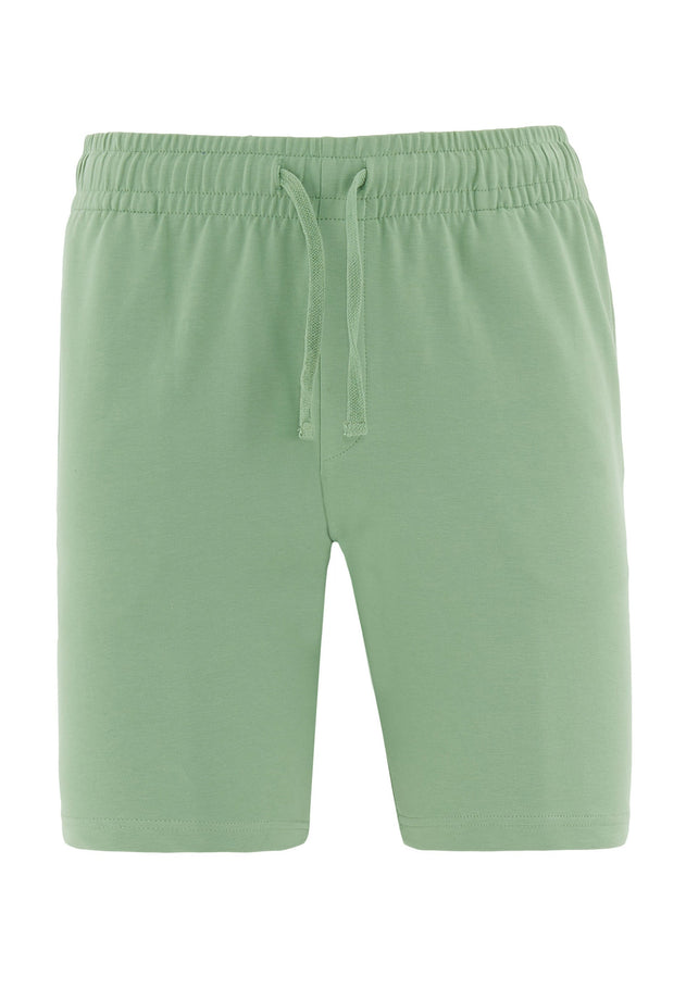 Sahin Collegeshortsit Mineral Green