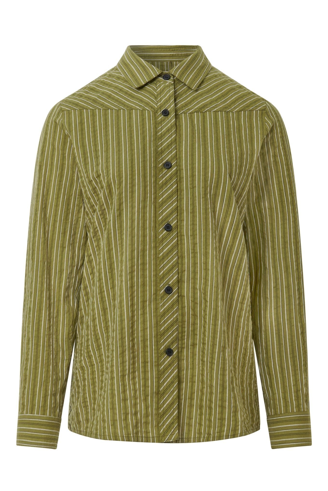 Rio Organic Cotton Shirt Green Stripe