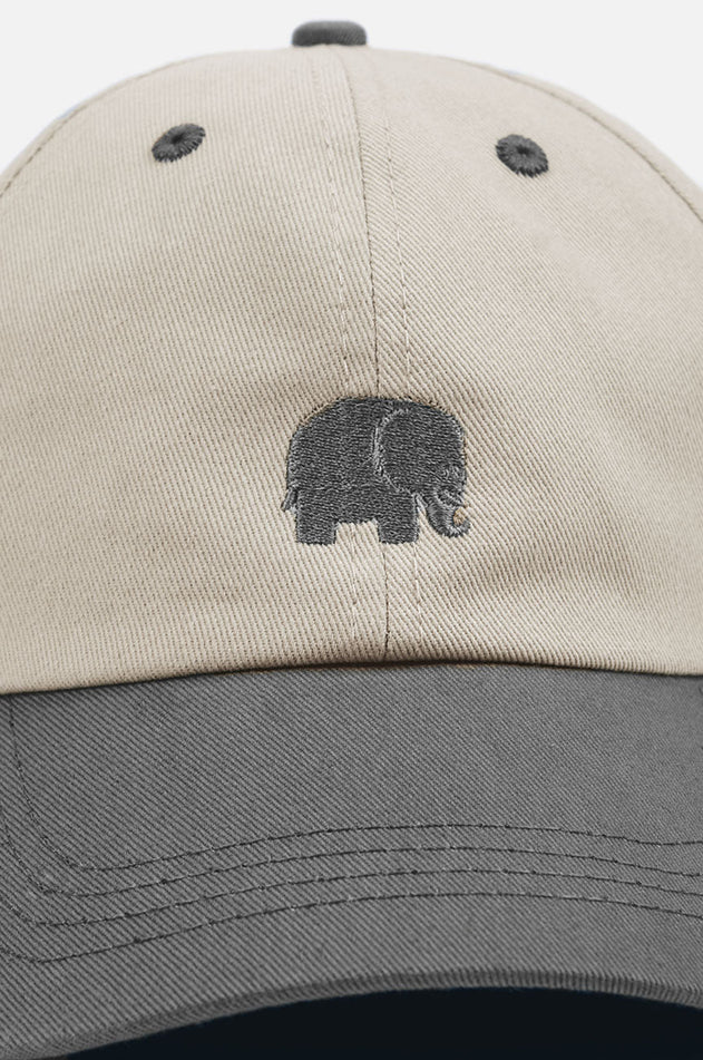 Logo Dad Cap Luonnonvalkoinen/Harmaa