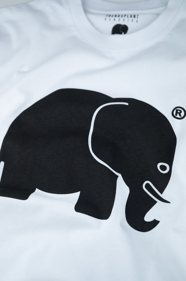 Orgaaninen Klassinen T-Paita Valkoinen