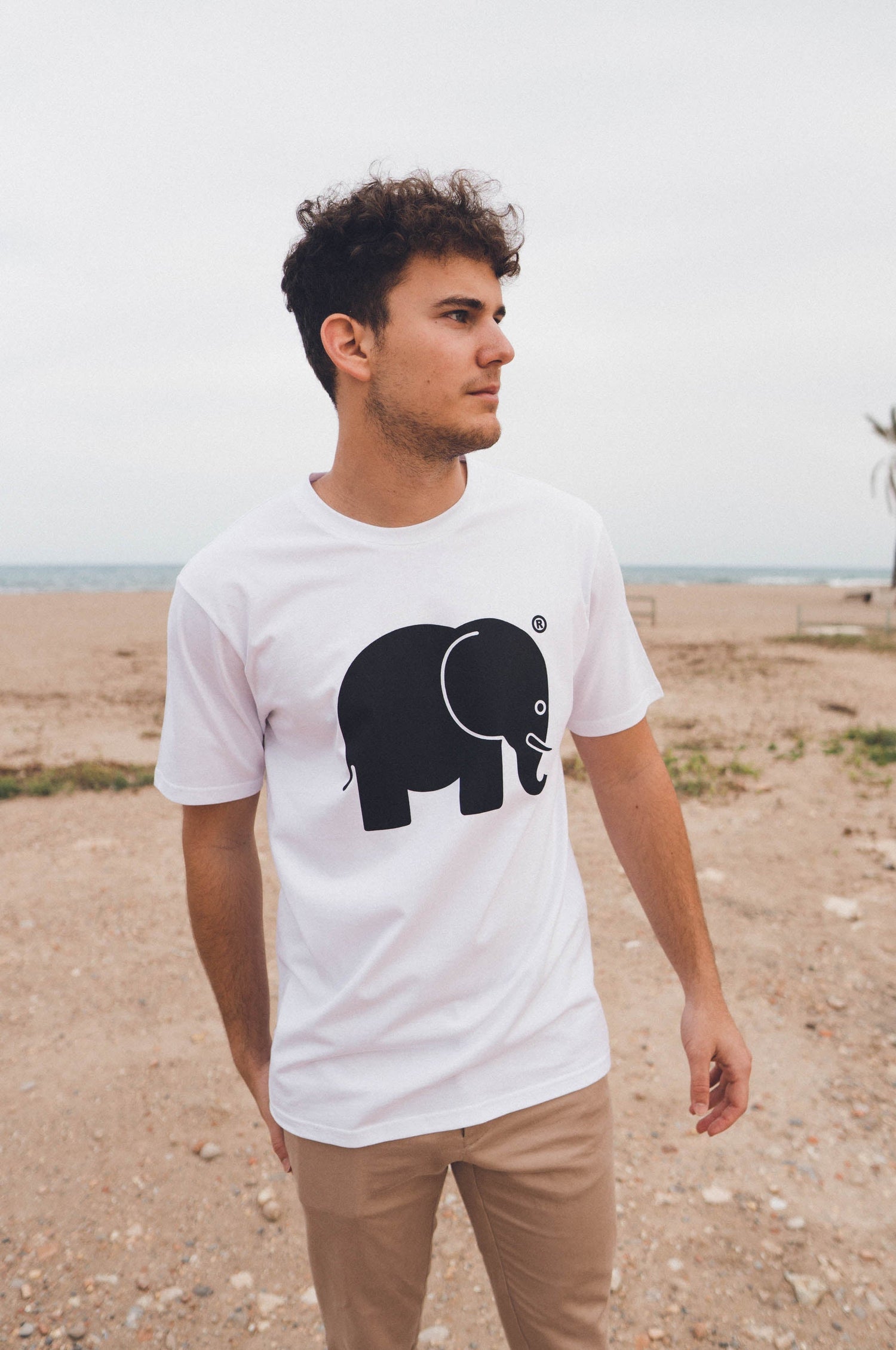 Orgaaninen Klassinen T-Paita Valkoinen