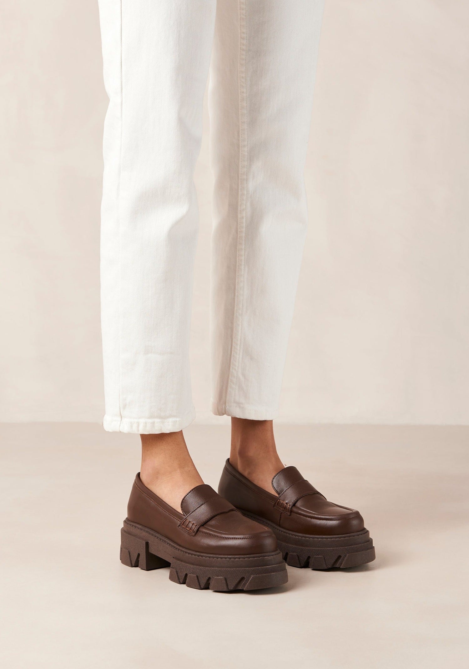 Trailblazer Loaferit Ruskea