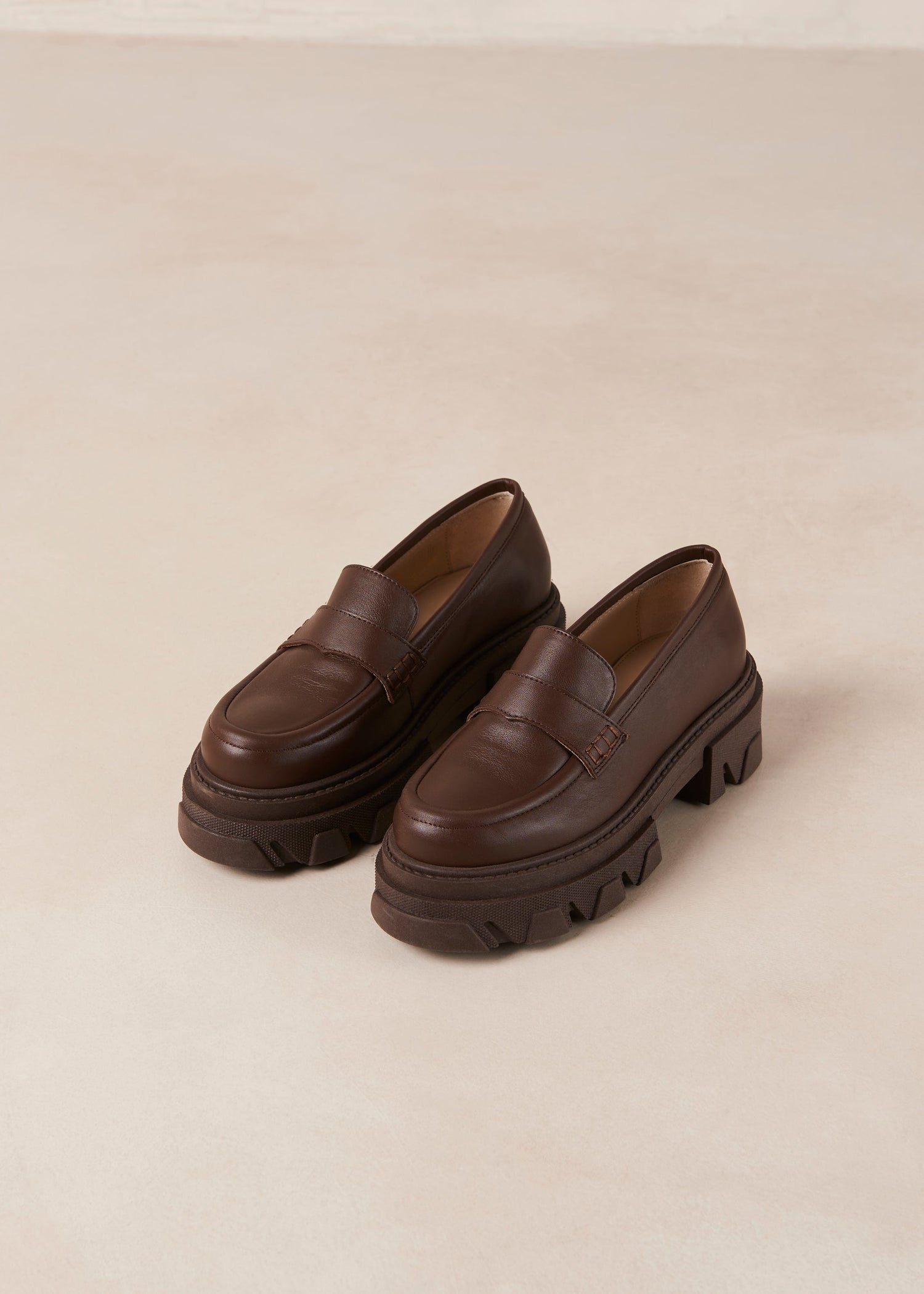 Trailblazer Loaferit Ruskea