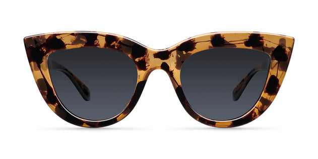 Karoo Aurinkolasit Tigris Carbon