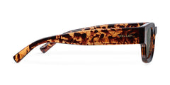 Gamal Aurinkolasit Tigris Oliivi