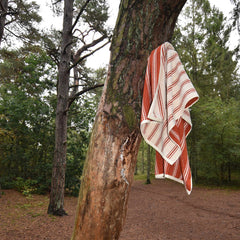 Homehagen Towel Cinnamon